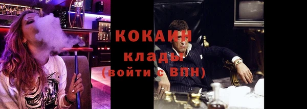 гидра Пересвет