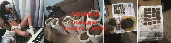 гидра Пересвет