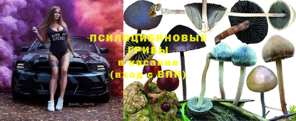 стафф Пестово