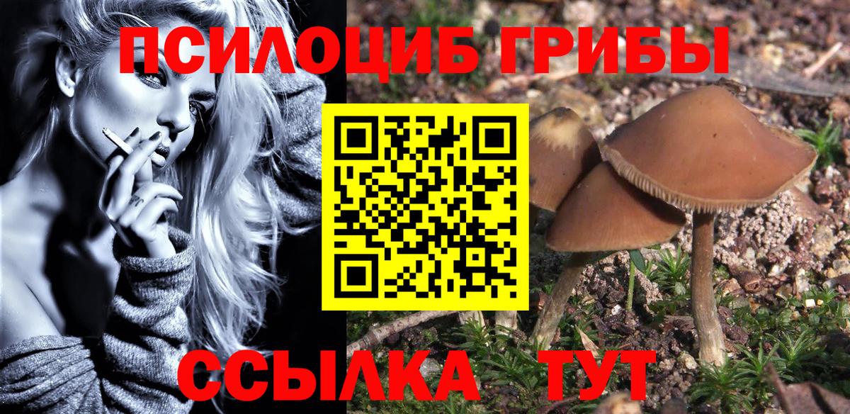 Галлюциногенные грибы Psilocybine cubensis  Псилоцибиновые грибы ЛСД  магазин    Бахчисарай 