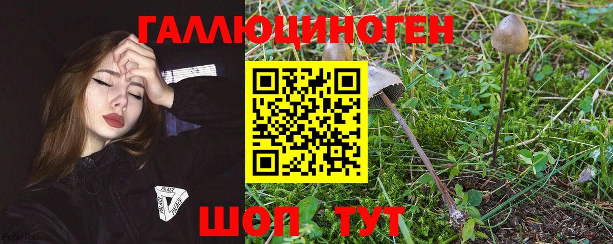 Галлюциногенные грибы MAGIC MUSHROOMS Бахчисарай
