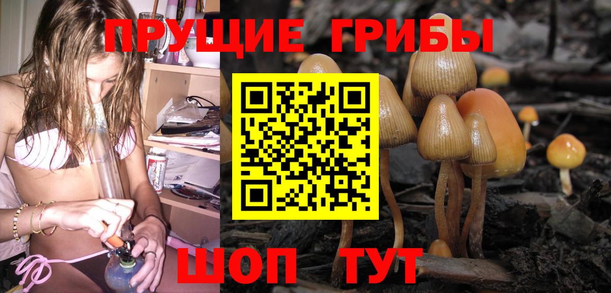 Псилоцибиновые грибы GOLDEN TEACHER  Вход с VPN  Бахчисарай 
